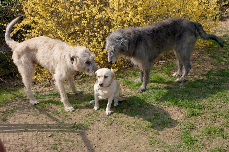 kleine Blondine kleine Blondine