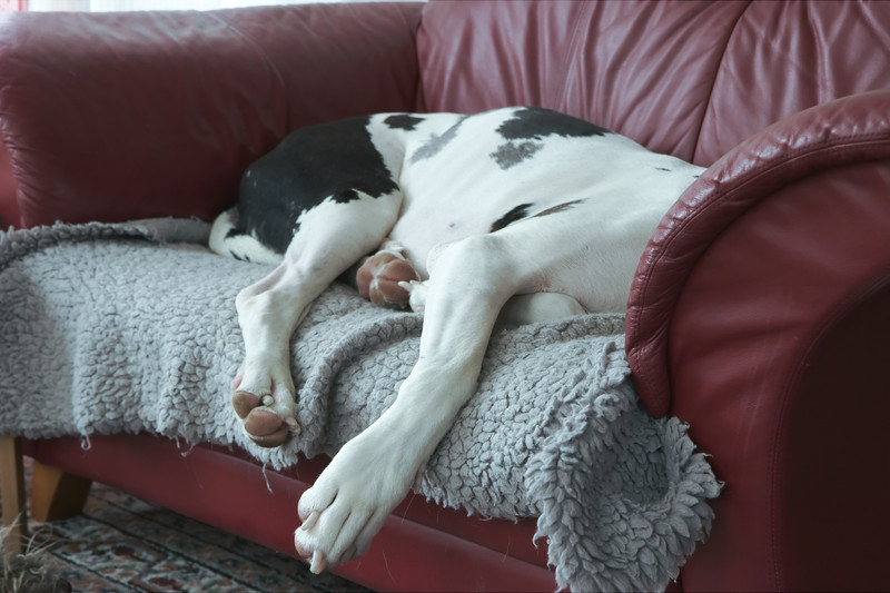 undefined Kimba sofa